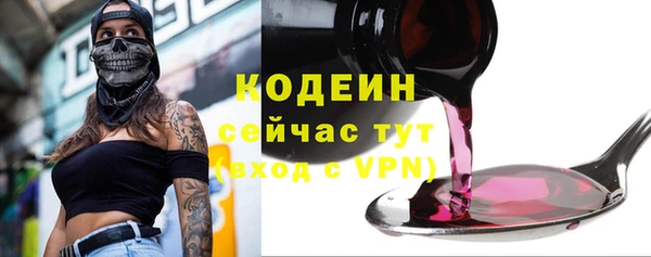 молекула духа Алзамай
