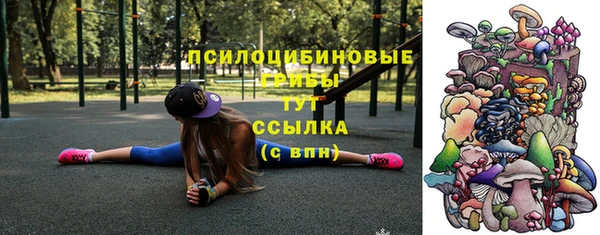 a pvp Алексеевка