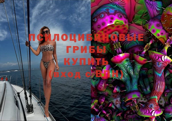 молекула духа Алзамай