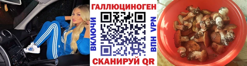 Галлюциногенные грибы Psilocybe  купить  сайты  Менделеевск 